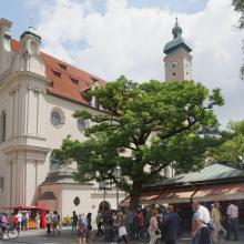 Heiliggeist Kirche München